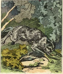 Der Wolf rennt zum Haus der Großmutter. Illustration des Märchens „Rotkäppchen“ von Charles Perrault
