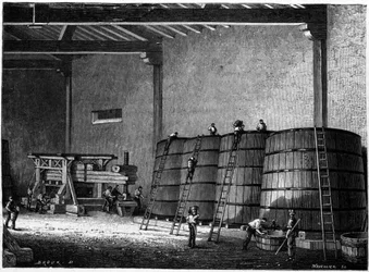Fässer und Presse in den Weinkellern von Burgund Clos Vougeot. Gravur aus dem 19. Jahrhundert