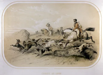 Eine Wolfsjagd. Gravur des 19. Jahrhunderts.
