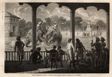 Ein Elefantenkampf in Baroda (Vadodara), Bundesstaat Gujarat an der Nordostküste Indiens. Gravur zur Illustration der Reise in Indien der Rajahs, von Louis Rousselet, 1864-1868, veröffentlicht in "Le tour du monde" 1870-1871, herausgegeben von Edouard Char