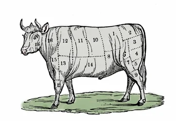 Anonyme Illustration aus dem späten 19. Jahrhundert.