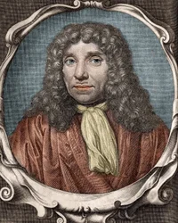 Anthony Van Leeuwenhoek oder Anton van Leeuwenhoek, oder Leeuvenhoek, oder Leeuwenhoeck. Niederländischer Naturforscher (1632 bis 1723). Gravur 18. Jahrhundert