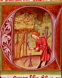 Botanik: Ein Gärtner praktiziert eine Transplantation. Miniatur aus „Der Rustican oder Buch des ländlichen und bäuerlichen Profits“ von Pietro de Crescenzi (1233-1320) 14. Jahrhundert Prag, Nationalbibliothek