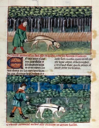 Wie man Hunde führt Miniatur aus „Das Buch der Jagd“ von Gaston III Phoebus, Graf von Foix, Herr von Béarn (1331-1391)