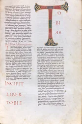 Incipit des Buches Tobias