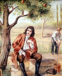 Isaac Newton (1642-1727), englischer Mathematiker, Physiker und Astronom, entdeckt die Theorie der Gravitation durch die Beobachtung des Falls eines Apfelbaums, eine Illustration aus dem 19. Jahrhundert.