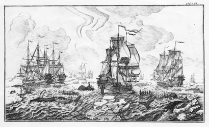 La chasse à la caleine