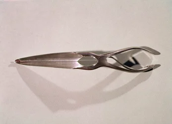 Medizinisches Instrument: ein Dilatator
