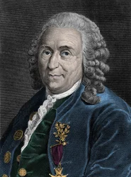 Porträt von Charles Linne (Carl von Linne, Linneus 1707-1778), schwedischer Naturforscher. Gravur des 19. Jahrhunderts