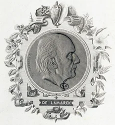 Porträt von Jean Baptiste Lamarck - Gravur