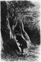 René Ferchault de Réaumur (1683-1757), französischer Physiker und Naturforscher, Begründer der Metallografie und erster großer Entomologe, studiert Prozessionsraupen.