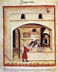 Die Zubereitung von Brot mit Hirse. Beleuchtung aus der Milchwirtschaft und Diätetik „Tacuinum sanitatis“
