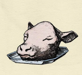 Kalbskopf, Gravur Ende des 19. Jahrhunderts