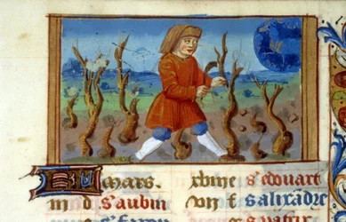 Zodiac Widder und Baumschnitt - Miniatur des Mittelalters (ref. 137, 047r) - Genehmigung der Stadtbibliothek Toulouse erforderlich (tel: 05 62 27 66 66)