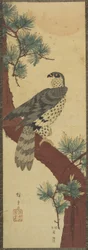 (Falke auf Kieferzweig, Sommer), September 1853
