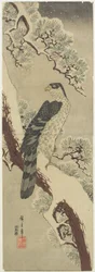 (Falke auf Kieferzweig, Winter), frühes 19. Jahrhundert