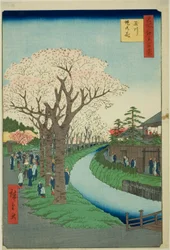 Blüten am Ufer des Tama-Flusses, aus der Serie "Hundert berühmte Ansichten von Edo"