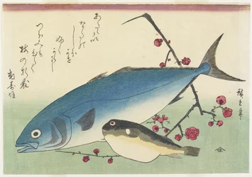 Bonito, Kugelfisch und ein Zweig blühender Pflaume, um 1840