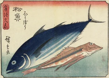 Bonito und Knurrhahn, 1830-1844