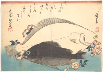 Hirame- und Mebaru-Fische mit Kirschblüten, aus der Serie Uozukushi (Jede Art von Fisch)