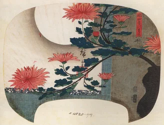 Chrysanthemen