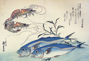 Hiroshige Pferdemakrele und Garnelen