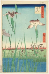 Schwertlilien in Horikiri (Horikiri no hanashobu), aus der Serie "Hundert berühmte Ansichten von Edo (Meisho Edo hyakkei)"