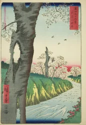 Koganei in der Provinz Musashi, aus der Serie "Sechsunddreißig Ansichten des Berges Fuji"