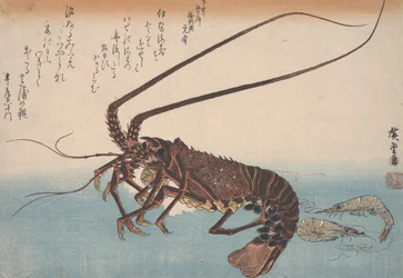 Hummer und Garnele, ca. 1832