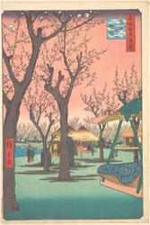 Pflaumengarten in Kamata