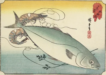 Garnele und Gelbschwanz, frühes 19. Jahrhundert