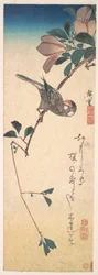 Purpurrote Magnolie und Nashornvogel