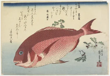 Meerbrasse und Sansho-Zweige, ca. 1832