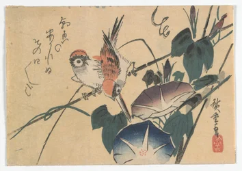 Spatzen und Prunkwinden, Edo-Zeit, späte 1830er Jahre