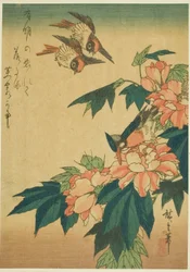 Schwalben, Eisvogel und Hibiskus