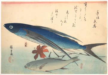 Tobiuo- und Ishimochi-Fische aus der Serie Uozukushi (Jede Art von Fisch)