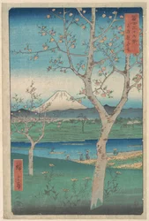 Blick auf den Fuji von Koshigaya in der Provinz Musashi (Musashi, Koshigaya Zai), aus der Serie Sechsunddreißig Ansichten des Fuji (Fugaku sanjūrokkei)