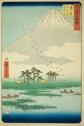 Yoshiwara: Fuji-Sumpf und Ukishima-Ebene (Yoshiwara, Fuji no numa ukishima ga hara), Nr. 15 aus der Serie "Berühmte Ansichten der dreiundfünfzig Stationen (Gojusan tsugi meisho zue)," auch bekannt als der vertikale Tokaido