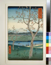 Koshigaya in der Provinz Musashi