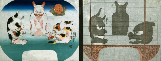 Katzen: Chinesischer Tempellöwe