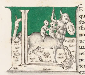 Detail aus 
