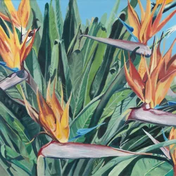Paradiesvogelblüten