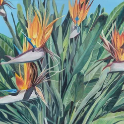 Lebendiger Paradiesvogel