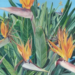 Lebendiger Paradiesvogel