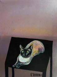 Siamkatze beim Strecken