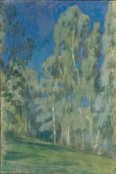 Birken am Mittag, 1903