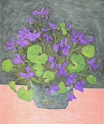 Getopfte violette Veilchen