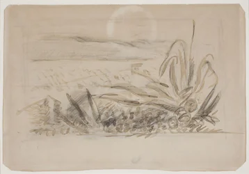 Landschaft mit Agave. Südfrankreich