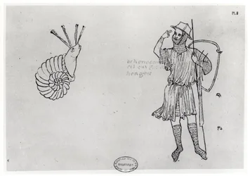 Fol.2 Schnecke und ungarischer Soldat (Faksimilekopie)