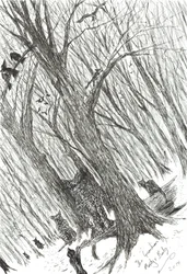 Wächter von Monty und Baby, 2013